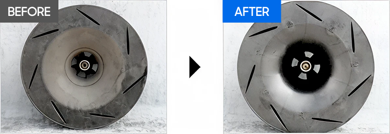 송풍 BEFORE / 송풍 AFTER